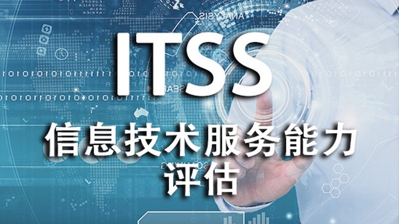 IT外包定制化项目：如何精准匹配企业需求